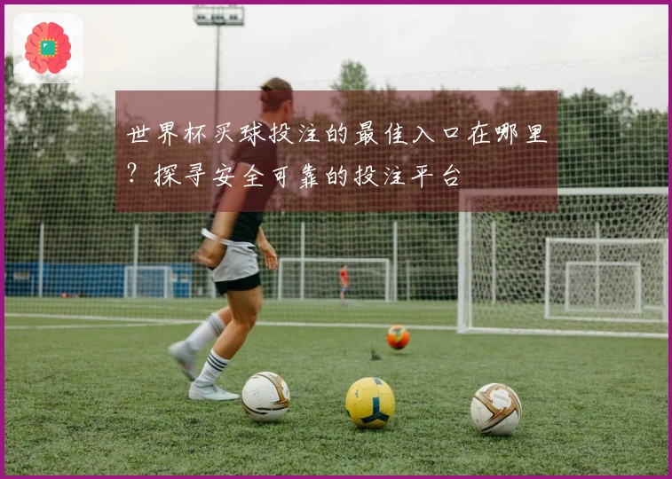 世界杯买球投注的最佳入口在哪里？探寻安全可靠的投注平台
