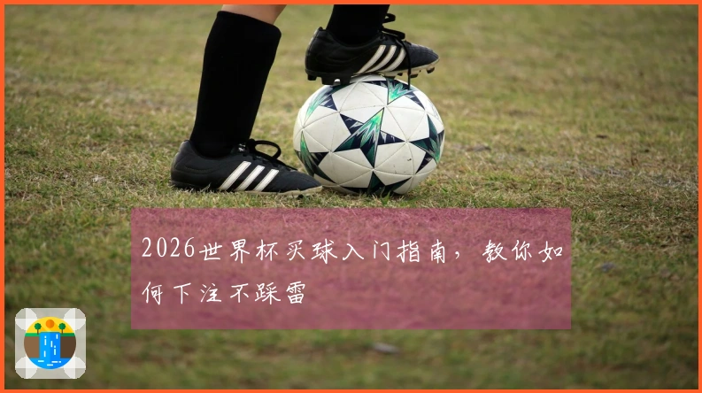 2026世界杯买球入门指南，教你如何下注不踩雷