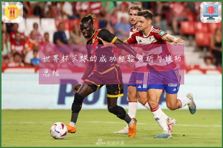 世界杯买球的成功经验分析与技巧总结