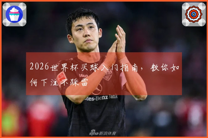 2026世界杯买球入门指南，教你如何下注不踩雷