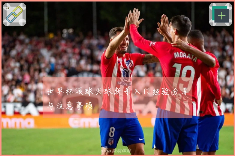 世界杯滚球买球新手入门经验分享与注意事项